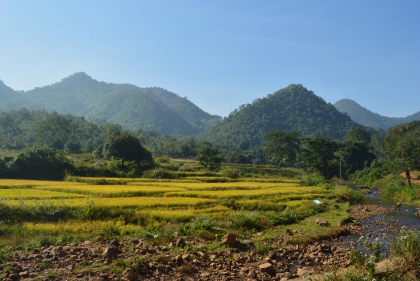 Niyamagiri hills